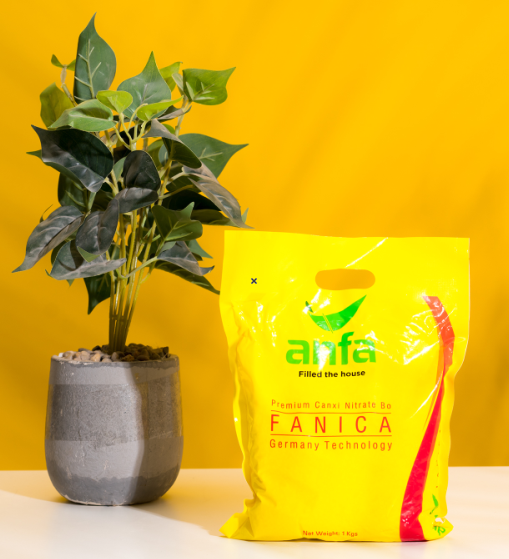 https://www.anfagroup.com.vn/uploads/files/FANICA.PNG