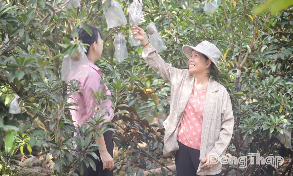 Chuyện khởi nghiệp của người phụ nữ U60