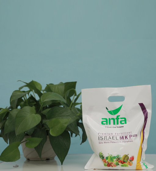 https://www.anfagroup.com.vn/uploads/images/MKP.PNG